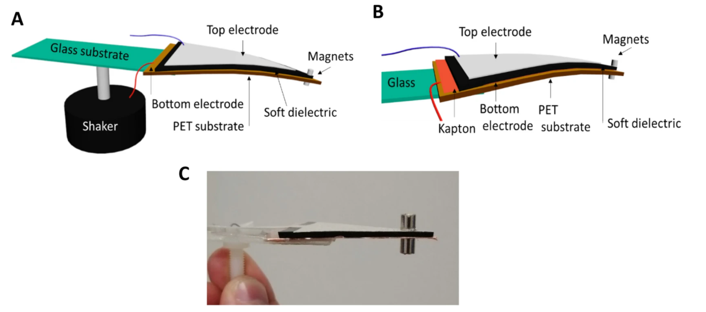 Integration of a soft dielectric composite into a cantilever beam for mechanical energy harvesting, comparison between capacitive and triboelectric transducers. Sci Rep 10, 20681 (2020) https://doi.org/10.1038/s41598-020-77581-2